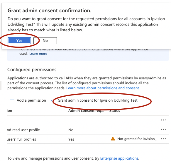 8_application_api_consent.png